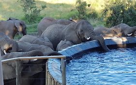 Nambiti Plains Lodge